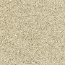 Load image into Gallery viewer, Aphrodite Plus Carpet
