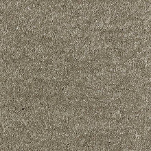 Load image into Gallery viewer, Aphrodite Plus Carpet
