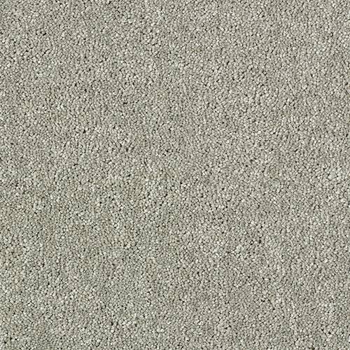 Aphrodite Plus Carpet