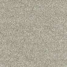 Load image into Gallery viewer, Aphrodite Plus Carpet
