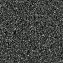 Load image into Gallery viewer, Aphrodite Plus Carpet
