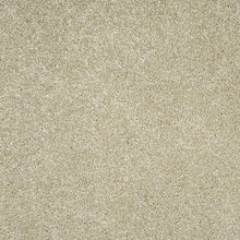 Load image into Gallery viewer, Orion 50oz Carpet
