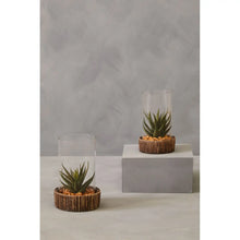 Load image into Gallery viewer, Succulent Terrariums
