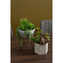 Load image into Gallery viewer, Mixed Succulents
