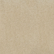 Load image into Gallery viewer, Orion 50oz Carpet
