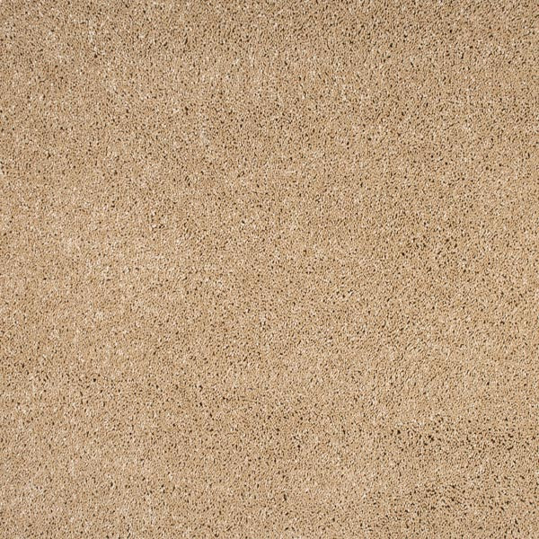 Orion 50oz Carpet