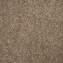 Load image into Gallery viewer, Soho Carpet

