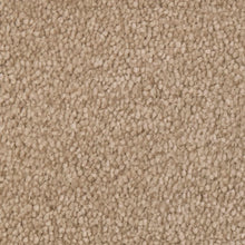 Load image into Gallery viewer, Septimus Carpet
