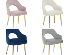Load image into Gallery viewer, Dani Dining Chairs
