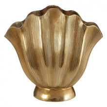 Load image into Gallery viewer, Estrella Fluted Vase Collection
