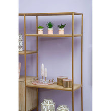 Load image into Gallery viewer, Set of 3 Succulents in Pink Pots
