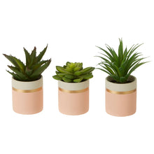Load image into Gallery viewer, Set of 3 Succulents in Pink Pots
