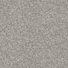 Load image into Gallery viewer, Septimus Carpet
