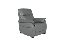 Load image into Gallery viewer, Nerano Fixed Upholstery Collection - Steel
