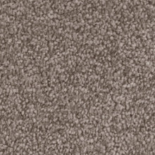 Load image into Gallery viewer, Septimus Carpet
