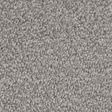 Load image into Gallery viewer, Septimus Carpet
