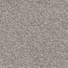 Load image into Gallery viewer, Septimus Carpet
