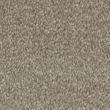 Load image into Gallery viewer, Septimus Carpet
