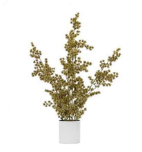 Load image into Gallery viewer, Potted Cedar Pine Gold
