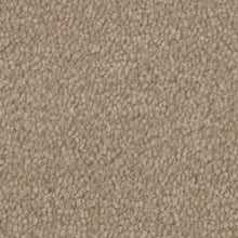 Load image into Gallery viewer, Septimus Carpet
