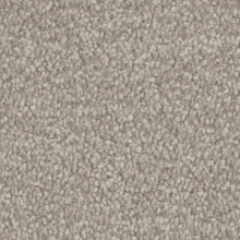Load image into Gallery viewer, Septimus Carpet
