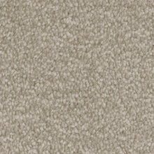 Load image into Gallery viewer, Septimus Carpet
