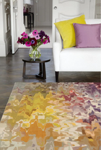 Load image into Gallery viewer, Vision Rug Collection - Multiple Designs Available
