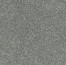 Load image into Gallery viewer, Smart Atilius Carpet
