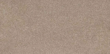 Load image into Gallery viewer, Trident Carpet

