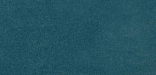Load image into Gallery viewer, Trident Carpet
