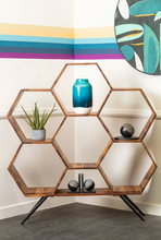 Load image into Gallery viewer, Domo Vase Collection - Various Styles
