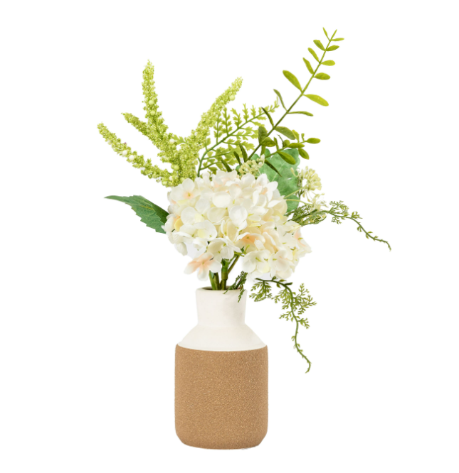 Potted Hydrangea Collection