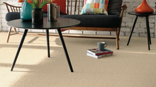Load image into Gallery viewer, Discovery Carpet
