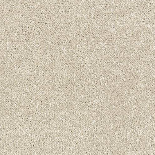 Stainfree Satin Touch Carpet