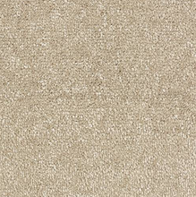 Load image into Gallery viewer, Stainfree Satin Touch Carpet

