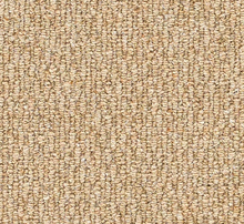 Load image into Gallery viewer, Cosy Boucle Carpet
