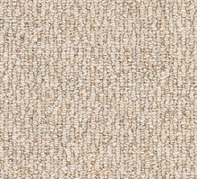 Load image into Gallery viewer, Cosy Boucle Carpet
