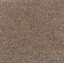 Load image into Gallery viewer, Good Life Carpet
