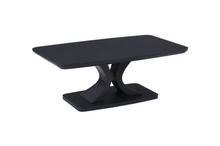 Load image into Gallery viewer, Daiva Living Collection - Charcoal
