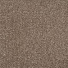 Load image into Gallery viewer, Persuasion Carpet
