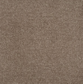 Persuasion Carpet