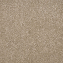 Load image into Gallery viewer, Persuasion Carpet
