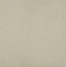 Load image into Gallery viewer, Persuasion Carpet

