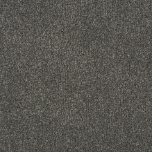 Load image into Gallery viewer, Persuasion Carpet
