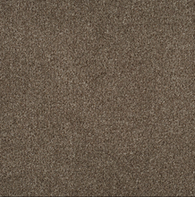 Load image into Gallery viewer, Persuasion Carpet

