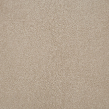 Load image into Gallery viewer, Persuasion Carpet

