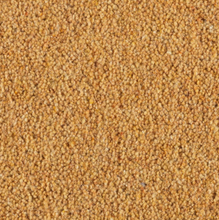 Load image into Gallery viewer, Longford Carpet
