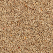 Load image into Gallery viewer, Longford Carpet
