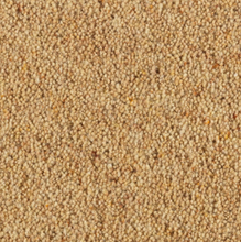 Load image into Gallery viewer, Longford Carpet
