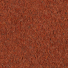 Load image into Gallery viewer, Longford Carpet
